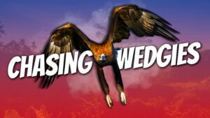 ae 1079, pete smissen, aussie english podcast, learn english australia, learn english with pete, learn language podcast, australian podcast, learn english podcast, learn english online course, australian culture, australian accent, australian conversation, learn australian english, walking with pete, wedge tailed eagle australia, australian magpie, bendigo victoria australia, australian landscape, basalt mountains australia