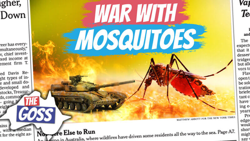 pete smissen, aussie english podcast, learn english australia, learn english with pete, learn language podcast, australian podcast, learn english podcast, learn english online course ian smissen, the goss australia, research on mosquitoes, how to kill mosquitoes effectively, how to eradicate dengue mosquitoes