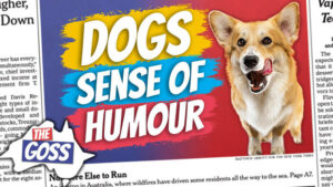 pete smissen, aussie english podcast, learn english australia, learn english with pete, learn language podcast, australian podcast, learn english podcast, learn english online course, do dogs have sense of humor, dogs have sense of humor like children, dogs make practical jokes, the goss, ian smissen, members only episode