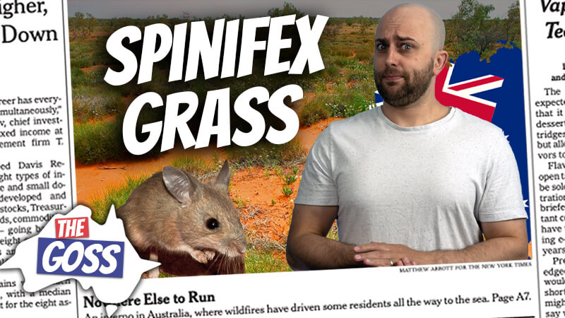 pete smissen, host of aussie english podcast, the goss australia, ian smissen, spinifex grass, what is grass rings, spinifex grass australia, weird grass australia, why spinifex grow in rings, mysterious grass australia