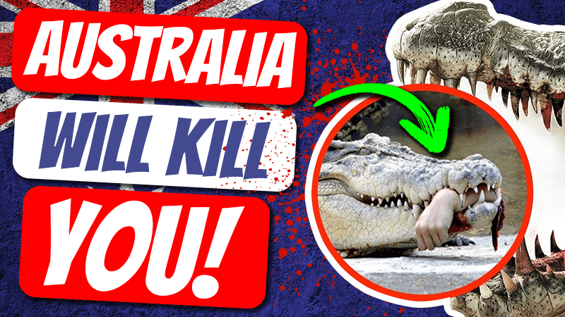 pete smissen, aussie english podcast, learn english australia, learn english with pete, learn language podcast, australian podcast host, learn english podcast, learn english online course, australia deadliest animals, australia dangerous animals